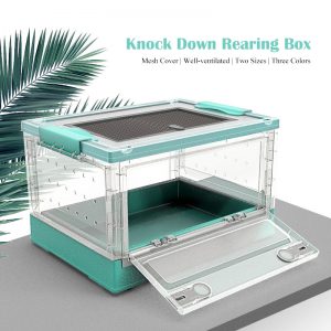 Rearing box for hamster hedgehog tortoise golden hamster rutin chicken pet house reptile terrarium transparent small reptile tank