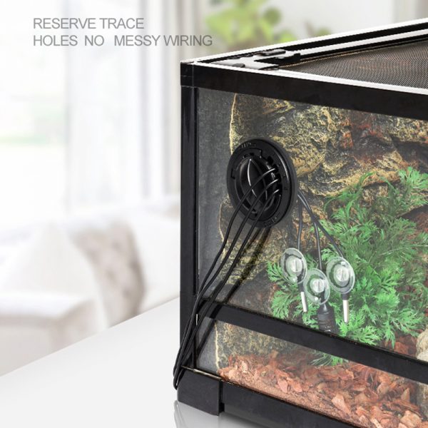 Reptile terrarium factory China detachable reptile habitat turtle tortoise lizard chameleon leopard gecko glass tank dismountable - Image 3