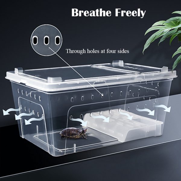 Plastic reptile breeding enclosure PP plastic material transparent black feeding box turtle tortoise lizard cabrite spider tank - Image 3