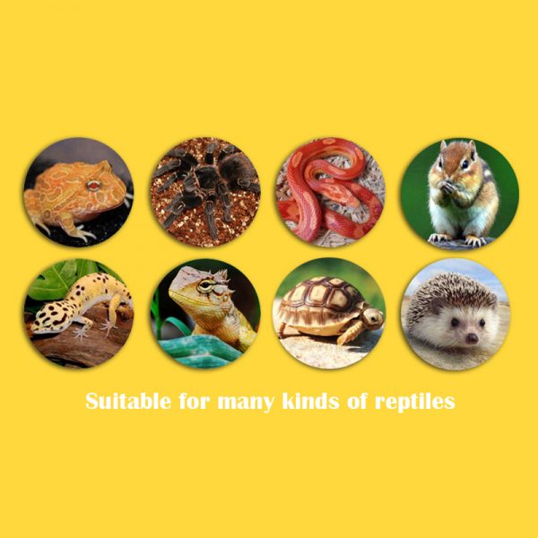 Intelligent reptile terrarium factory China detachable reptile habitat dismountable reptile enclosure temperature humidity - Image 4